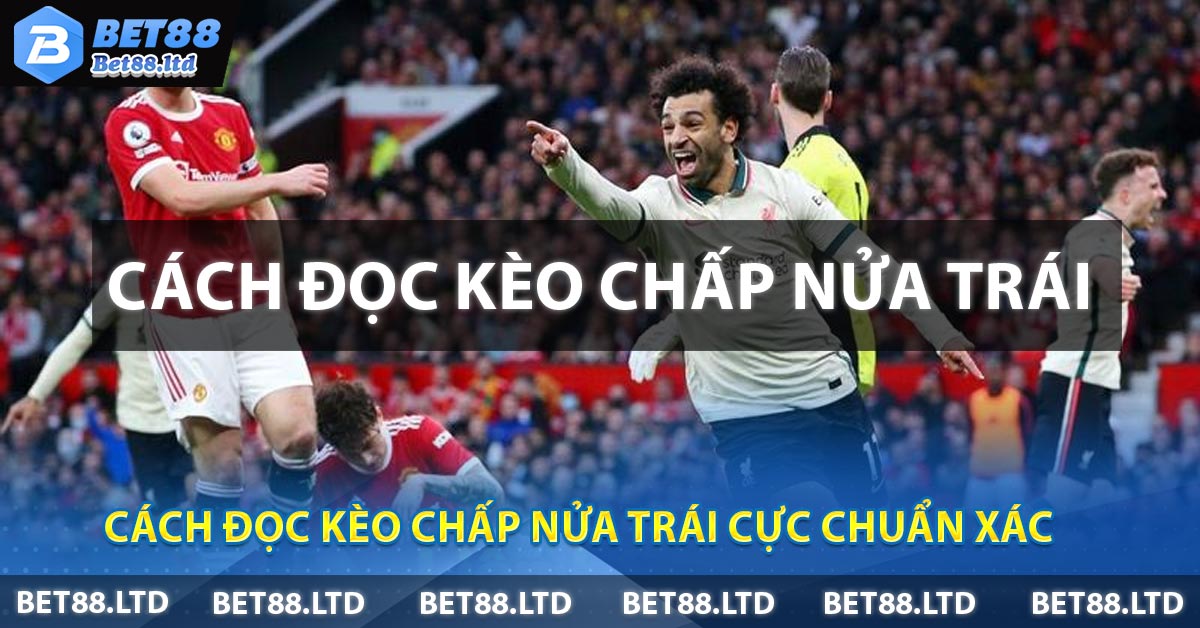 Cách đọc Kèo Chấp Nửa Trái cực chuẩn xác