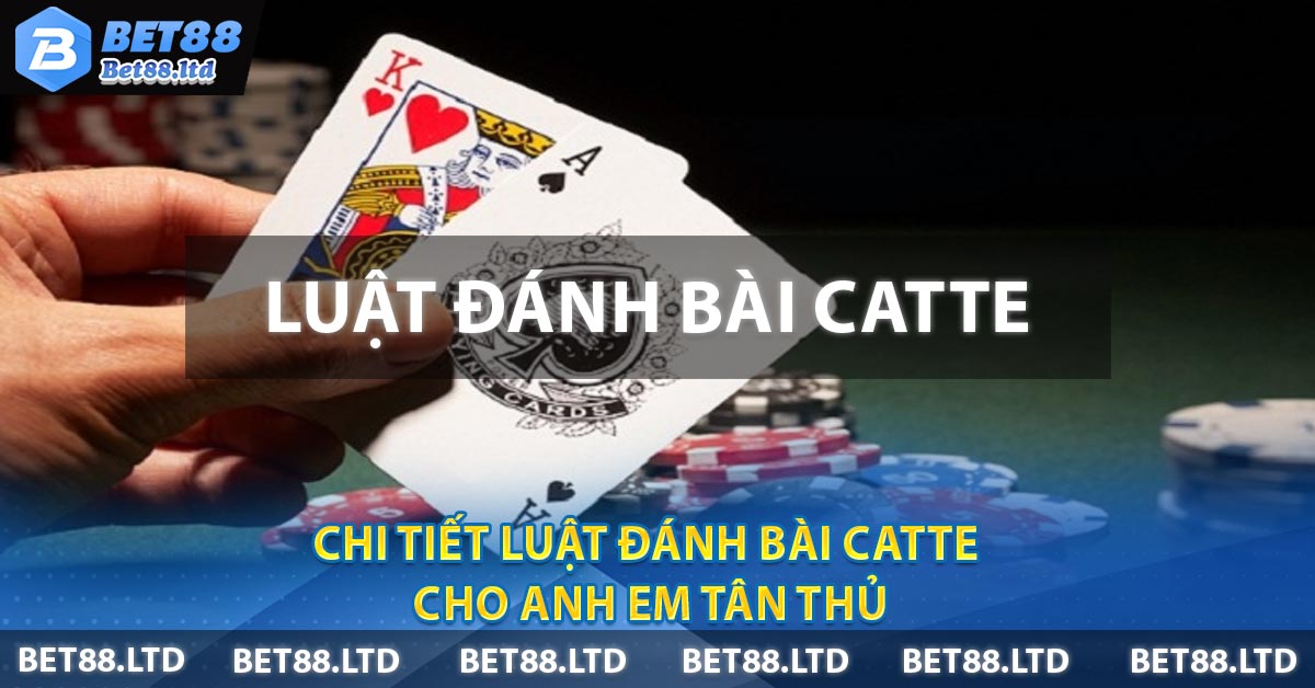 Chi tiết Luật đánh bài Catte Cho Anh Em Tân Thủ