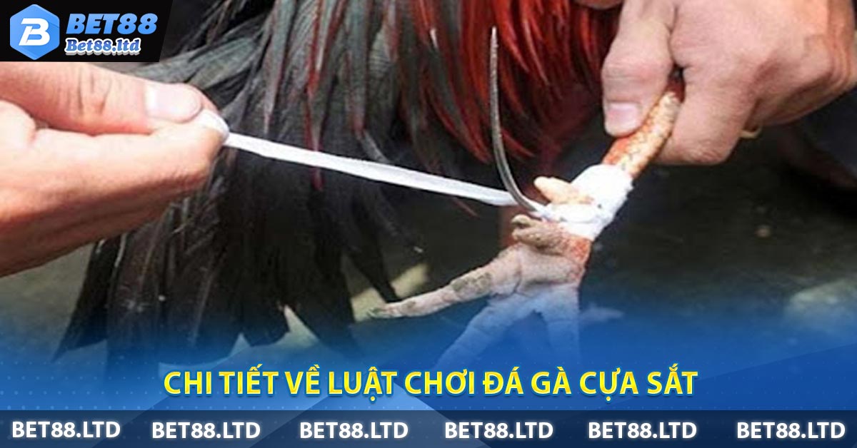 Chi tiết về luật chơi Đá gà cựa sắt