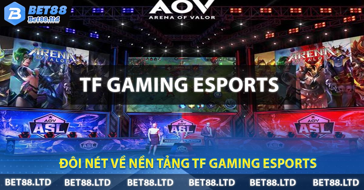 Đôi nét về nền tảng TF Gaming ESports