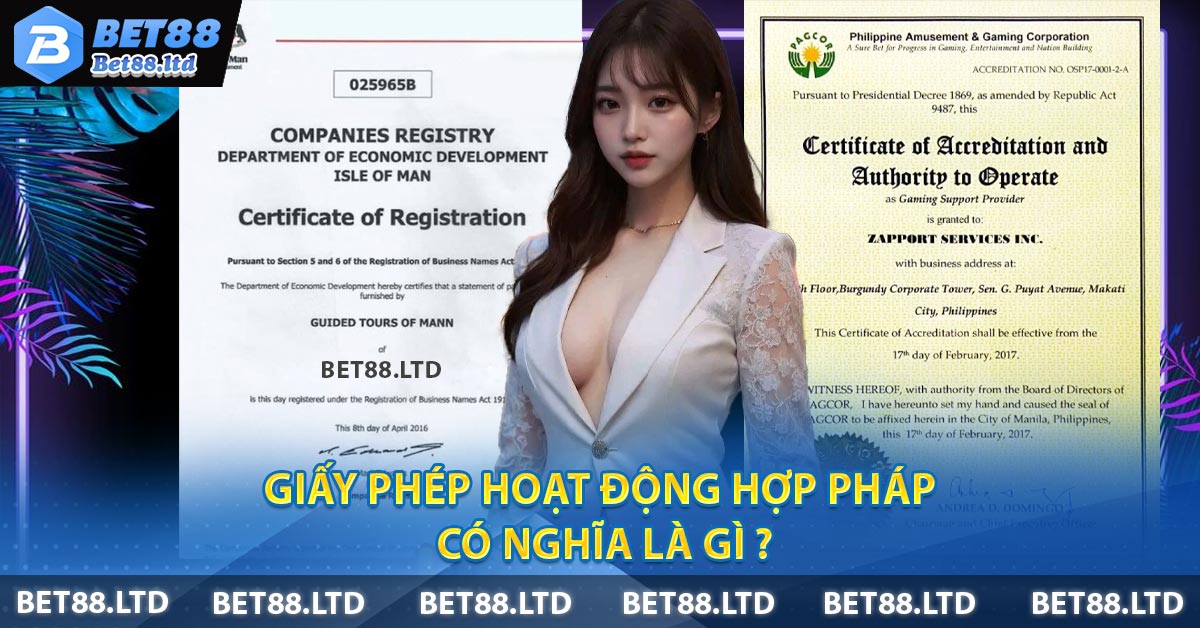 Giấy phép hoạt động hợp pháp có nghĩa là gì ?