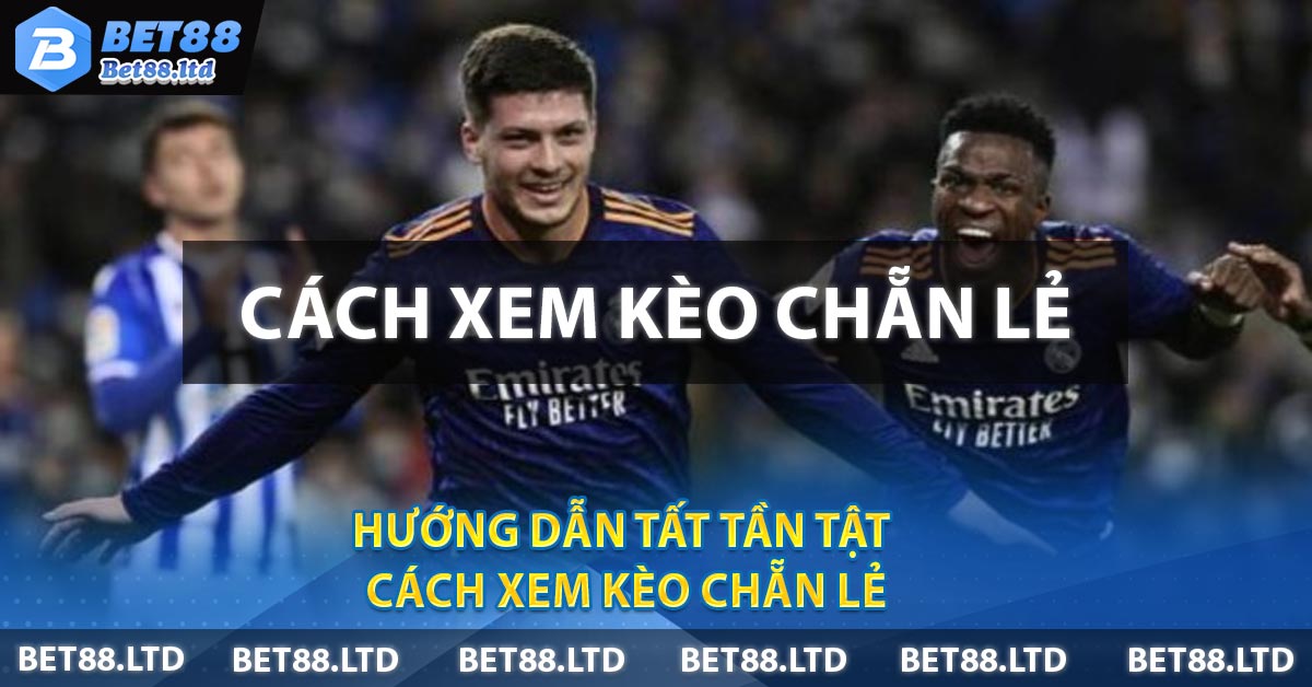 Hướng dẫn tất tần tật cách xem kèo chẵn lẻ