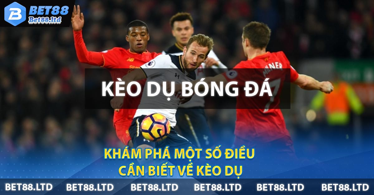 Khám Phá Một Số Điều Cần Biết Về Kèo Dụ