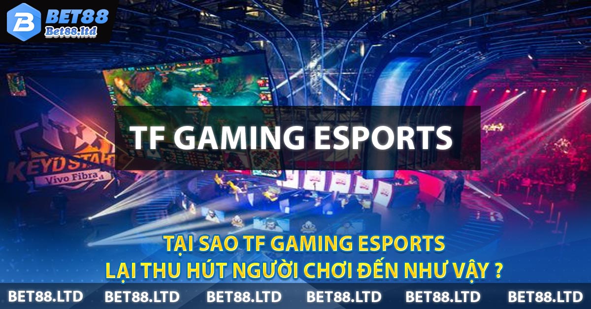 Tại sao TF Gaming ESports lại thu hút người chơi đến như vậy ?