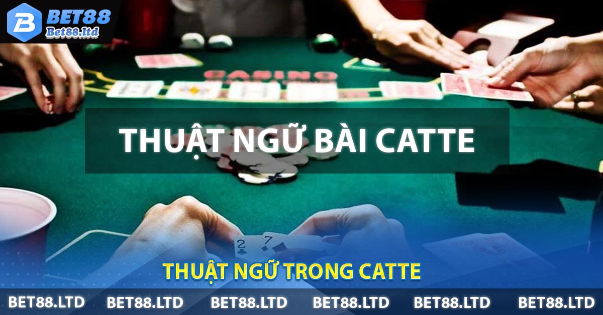 Thuật ngữ trong Catte